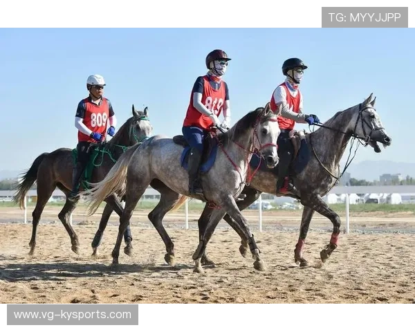 克罗地亚马术协会推出马术运动员健康管理系统，关注运动员身心健康。